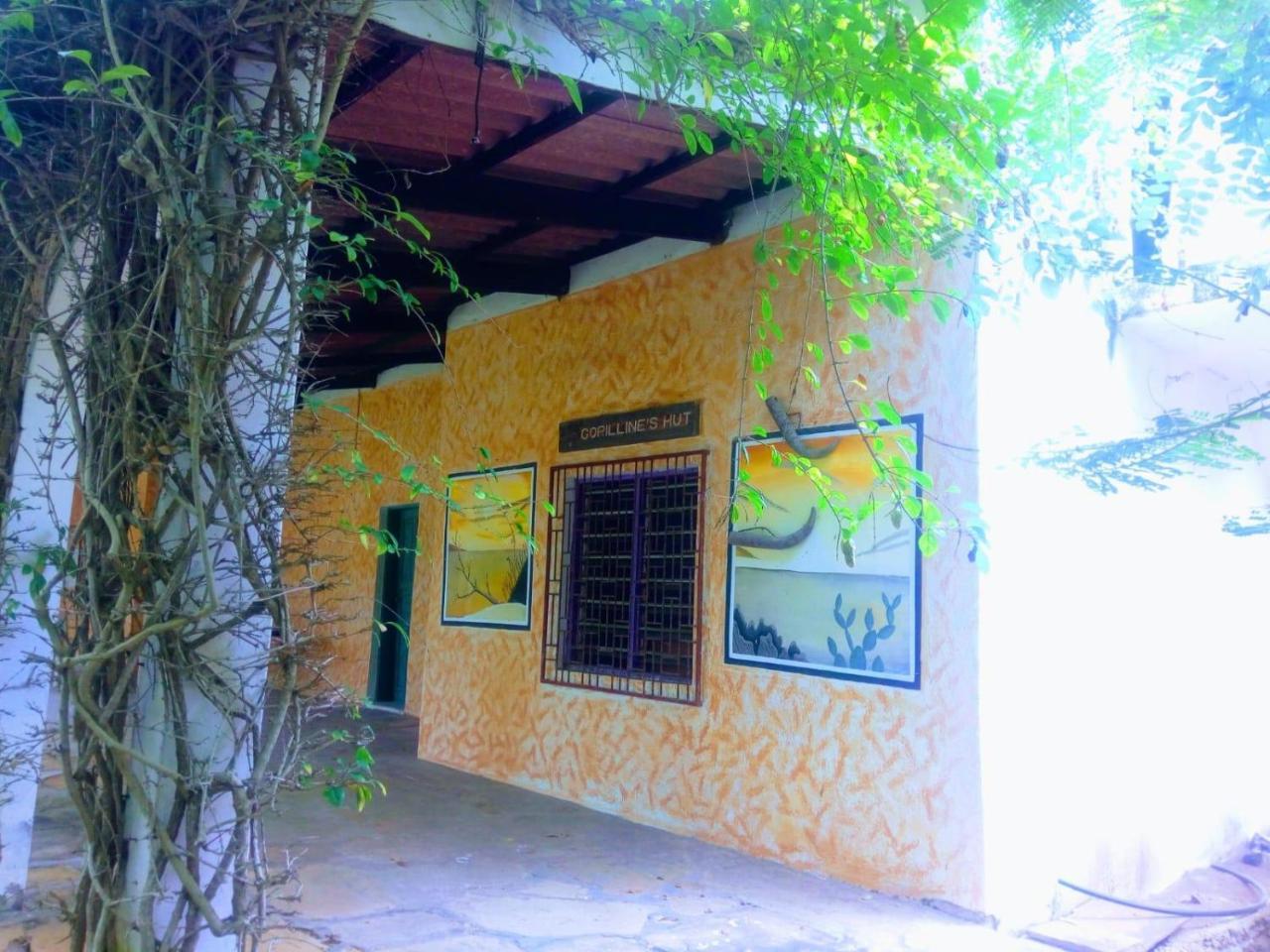 Bed and Breakfast Pashmina House Watamu Exterior foto